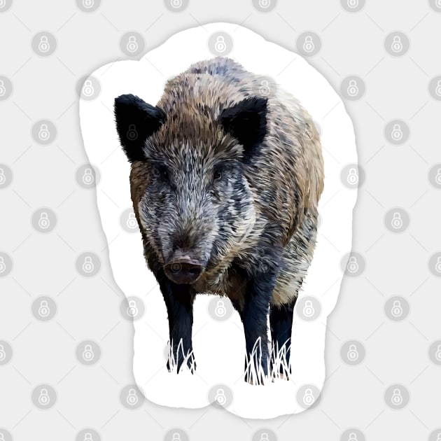 Wild boar Sticker by sibosssr